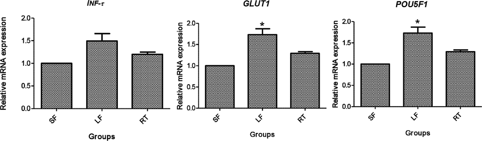 Relative gene expression of INF-τ, GLUT1 and POU5F1 in blastocysts. SF, small follicle derived; LF, large follicle derived; RT, roscovitine treated. *P<0.05 compared to SF and RT.